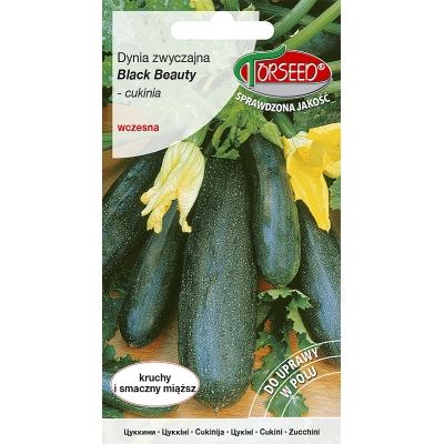 CUKINIA Black Beauty nasiona WCZESNA